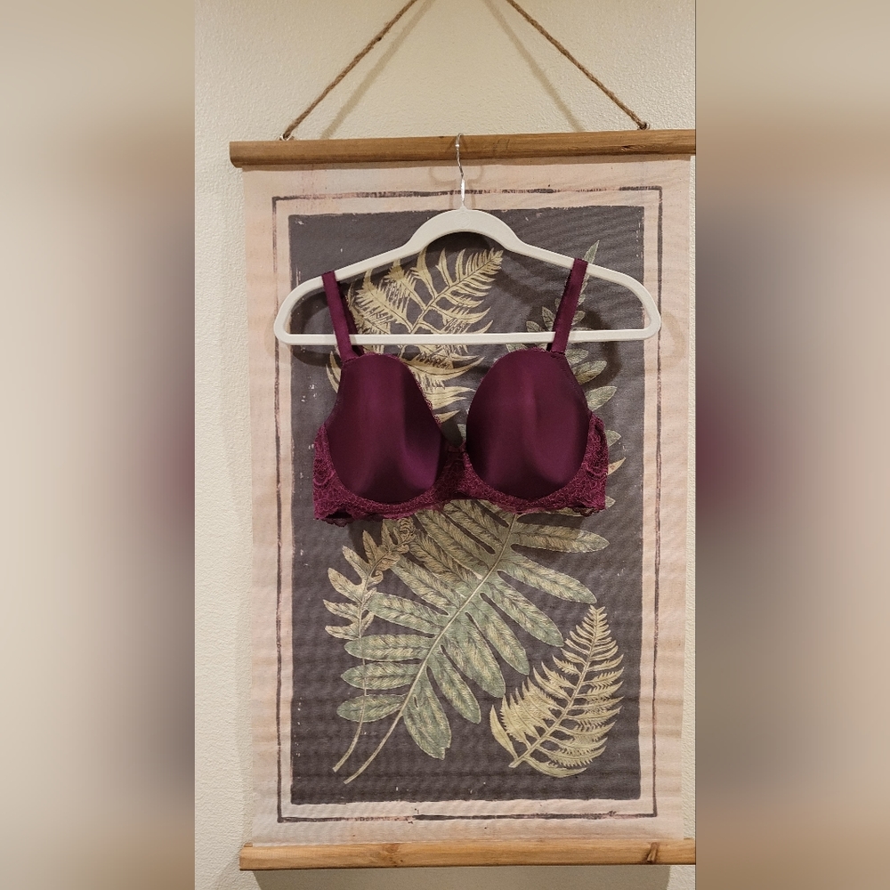 Victoria's Secret Dream Angel Demi Bra